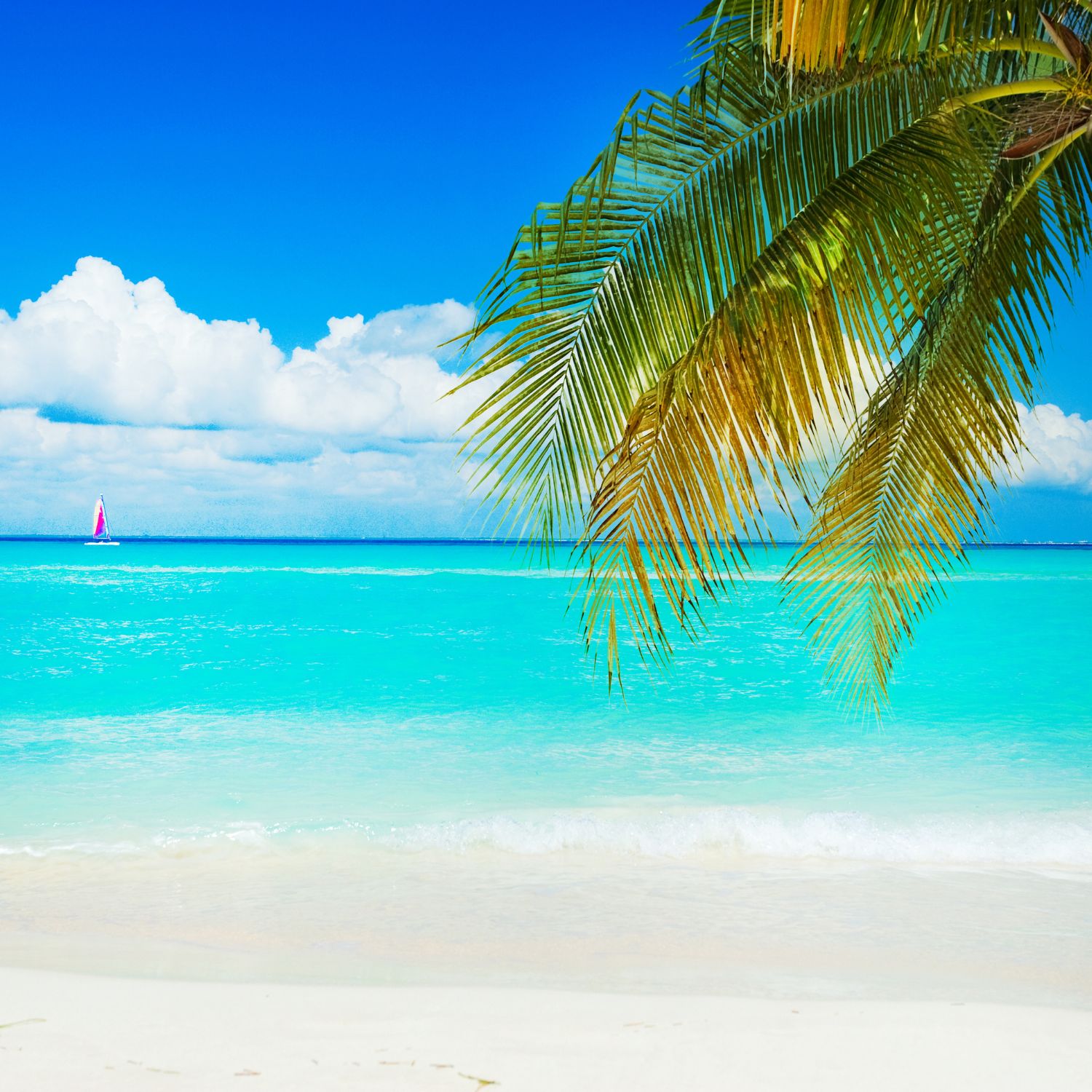 Demo Website – On Page Home Page – P1