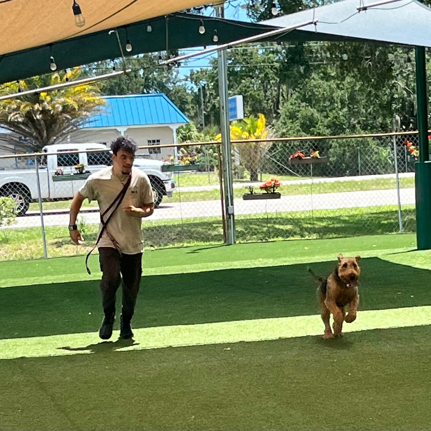Barkingham Palace – Agility Training P27